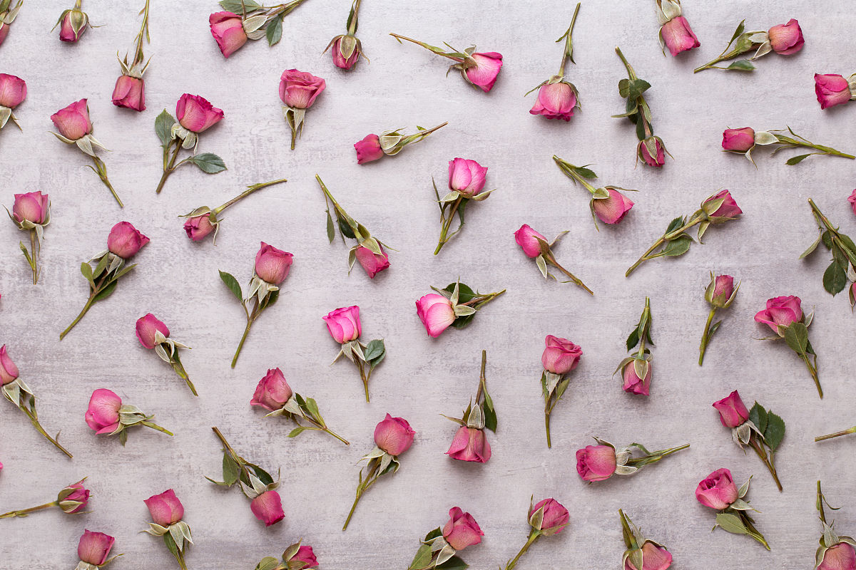 我是初一下学期的学生请你帮我打开一个作文生成的网页