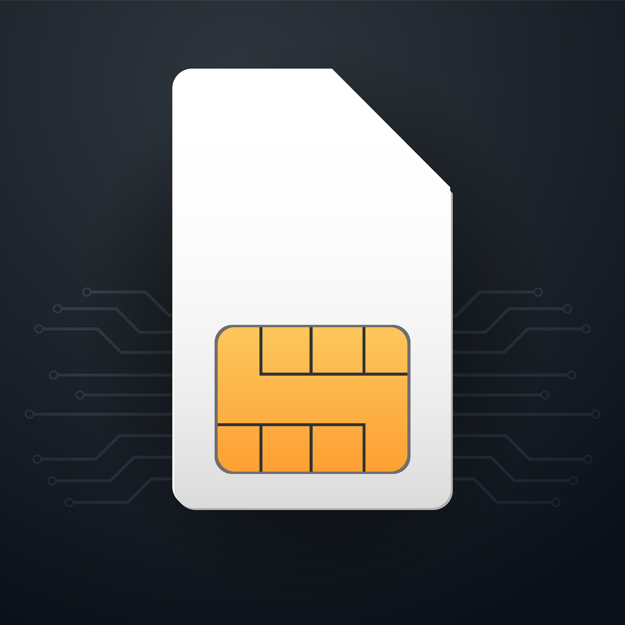 JavaCard 是硬件标准还是软件标准？