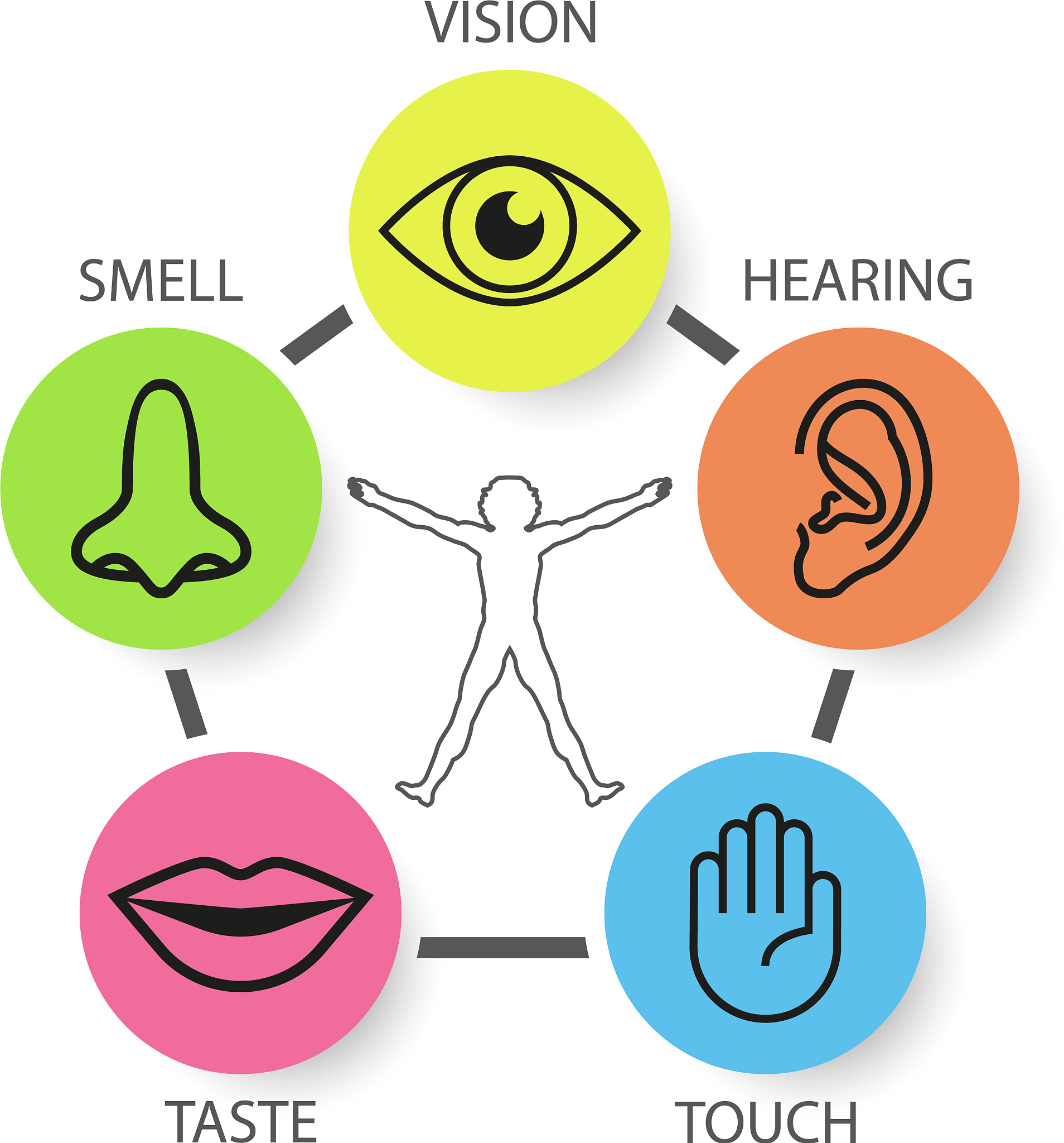 感受世界的另一种方式：当眼睛感知减少时