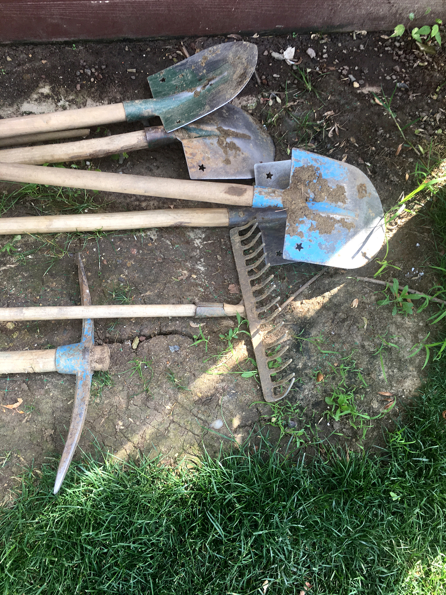 鹰爪中高空小型水果采摘器 - 大创项目 | 轻松采摘，高效便捷