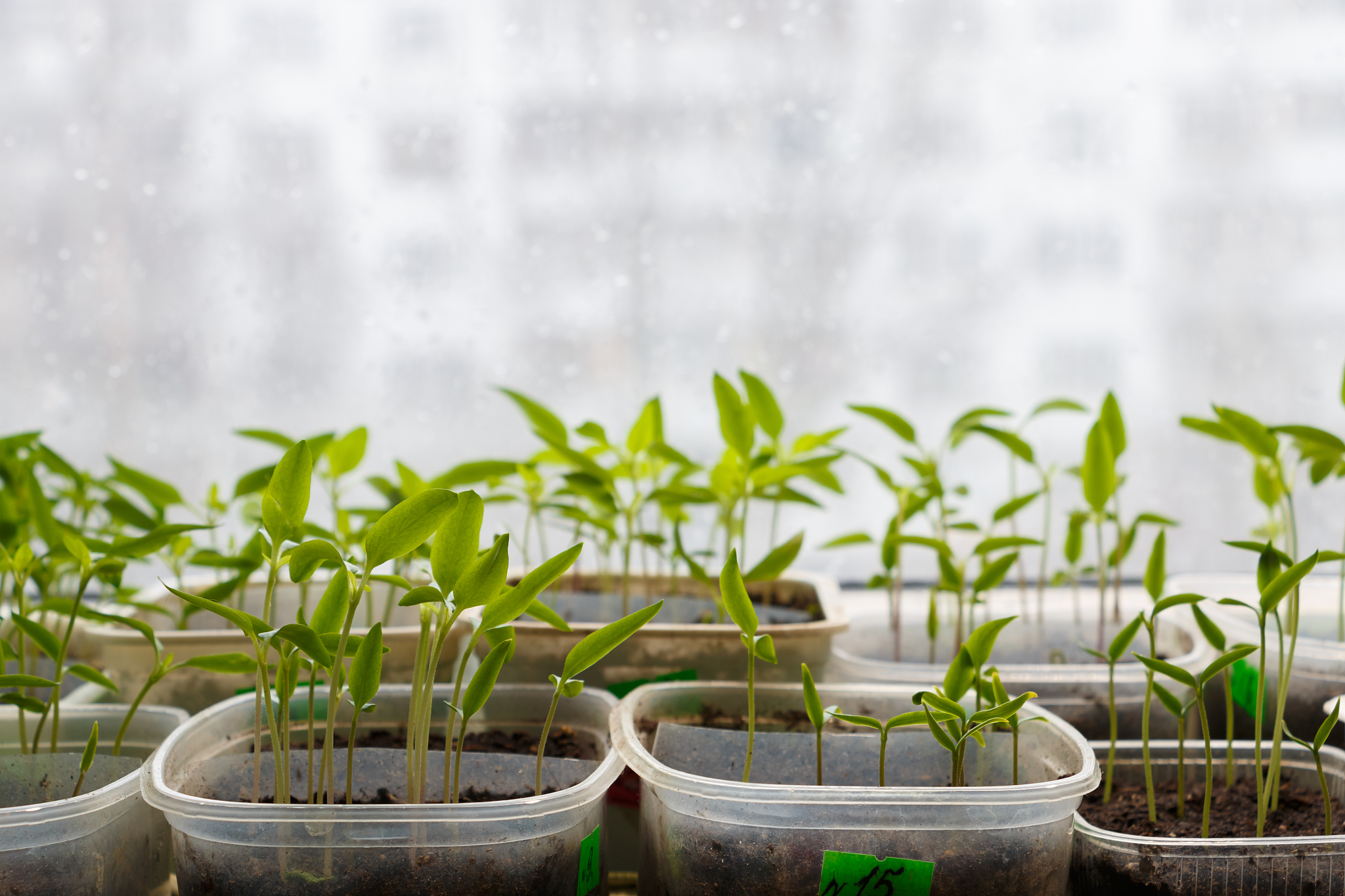 层次分析法结合模糊综合评价法对高校教学质量进行评价写一篇论文5000字数以上