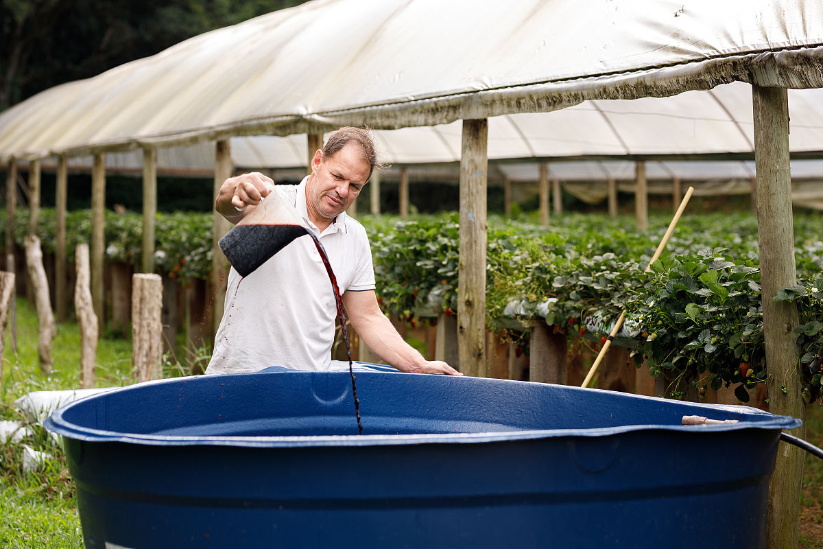 物联网智能温室大棚控制系统的经济与社会意义