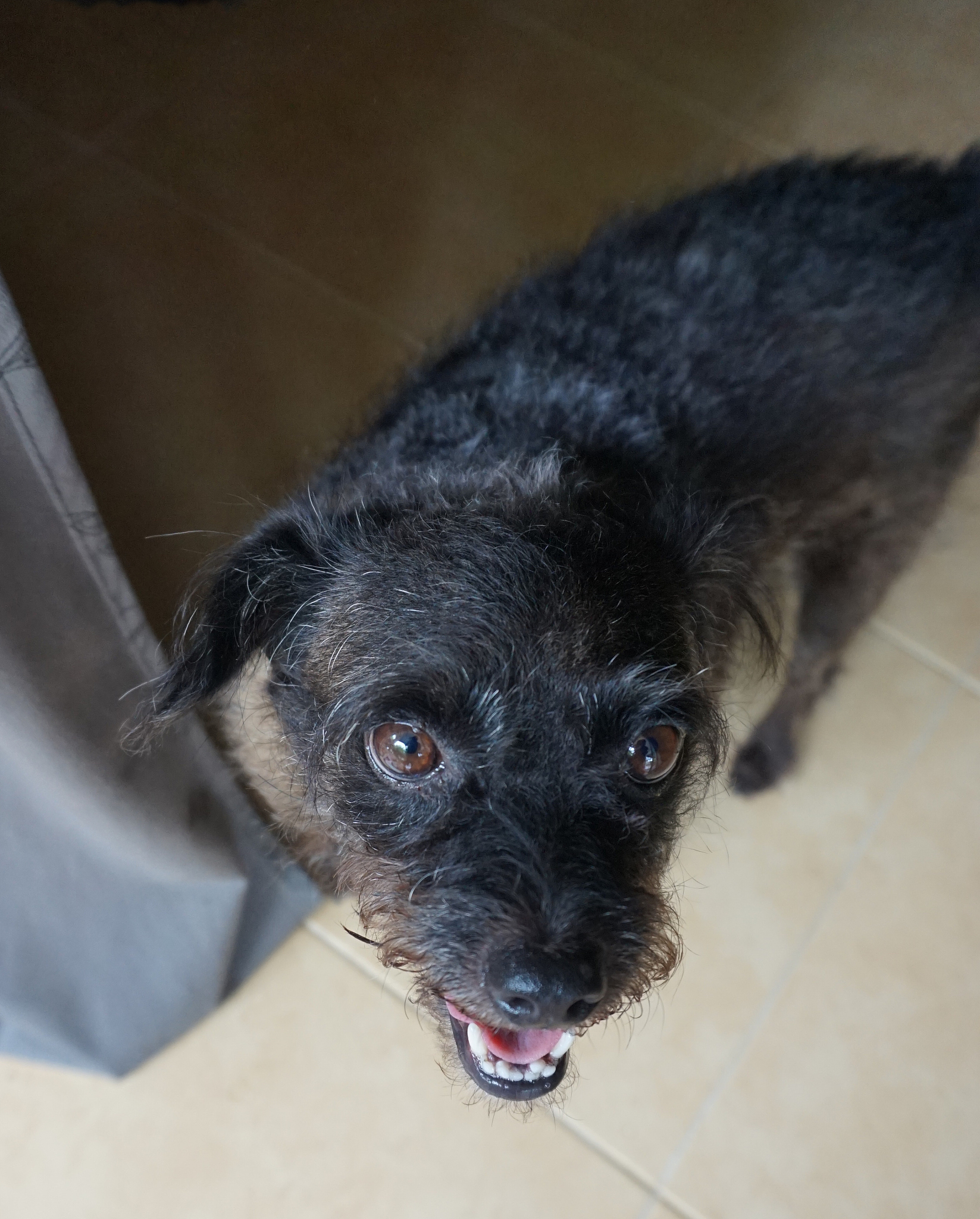 小黑子说的是谁