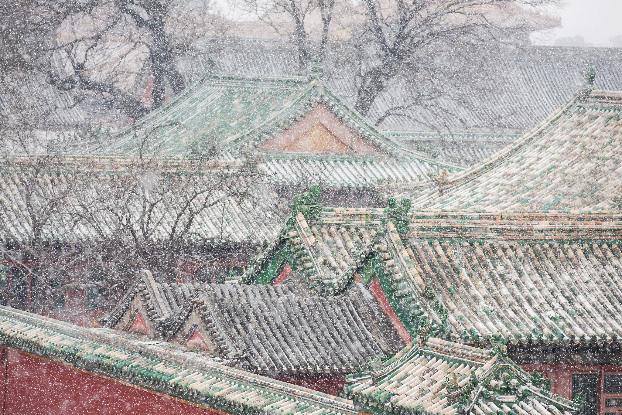 雪中的北京故宫景色