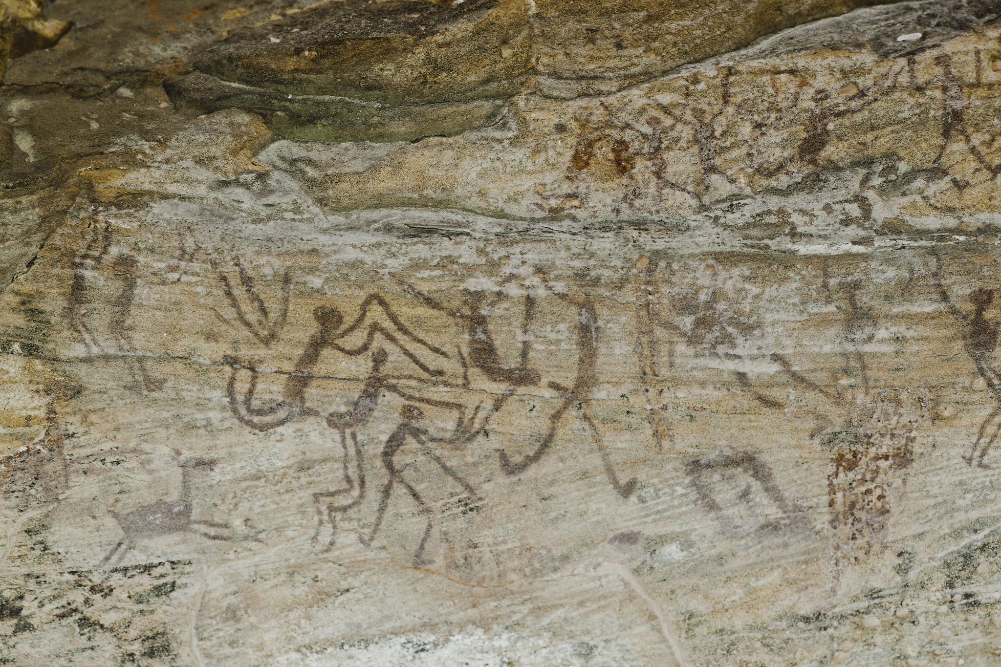 肖维洞穴：法国史前壁画宝库