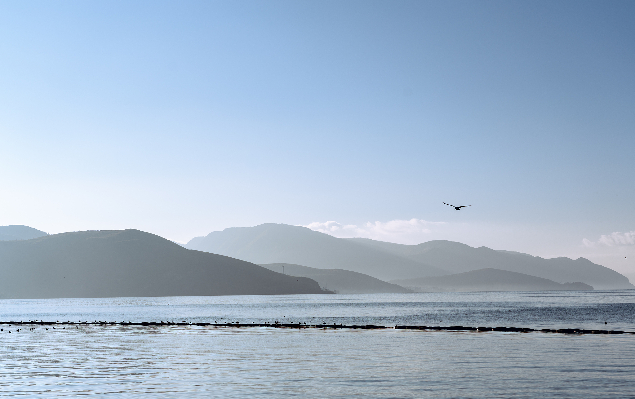 大理卫生学校官网多少