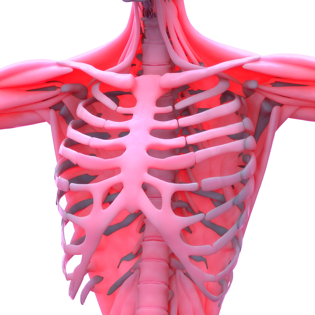 不低于900字的seo文章最好带序号或者小标题序号和小标题尽量避免重复先输出文章标题在写内容。文章标题是：绝地求生插件的合法性和风险提示。参考百度搜索相关资料选择性使用资料内容写出的内容避免重复并举出例子。后面的内容是给出的关联词随机选择性使用关联词随机打乱顺序：绝地求生辅助pubg辅助无后座骨骼透视飞车遁地漏哪打哪秒吃回血秒拉队友人物加速超级跳跃地图雷达小地图雷达人物穿墙子弹追踪子弹穿墙人
