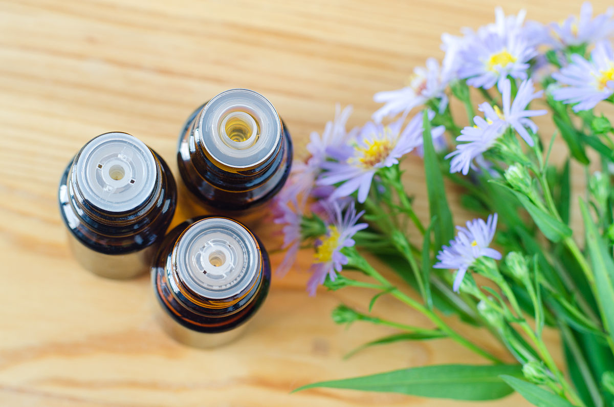 黔西南民族职业技术学院中草药栽培与加工技术专业课程设置有哪些