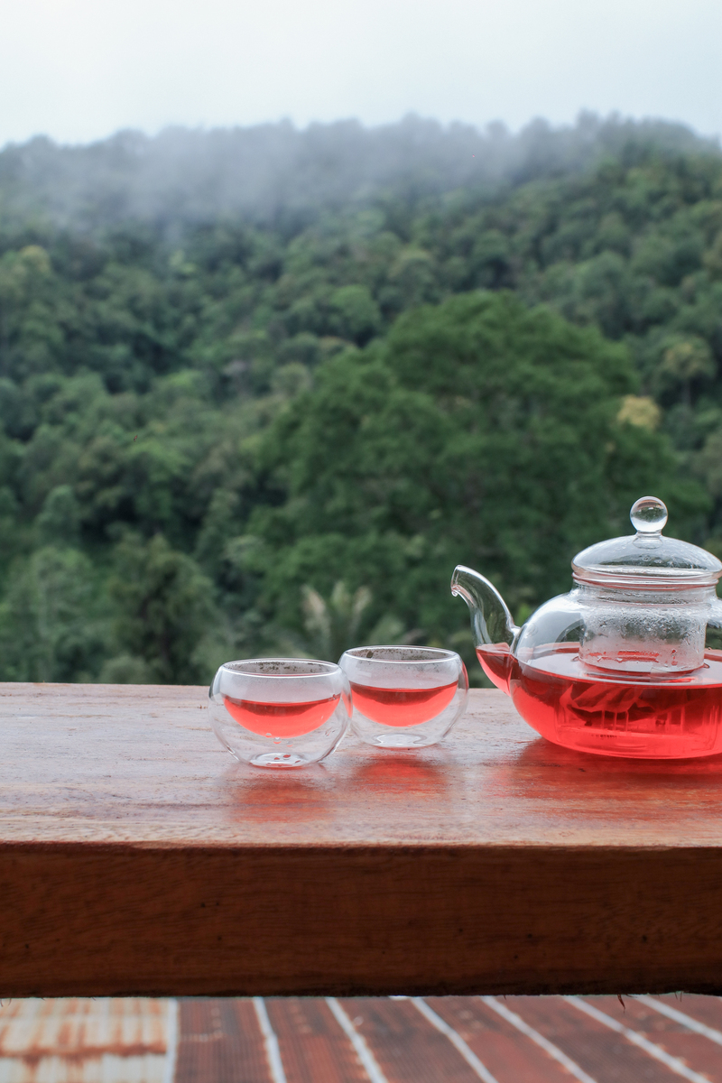 紫砂壶的妙用：除了泡茶，还能泡什么？