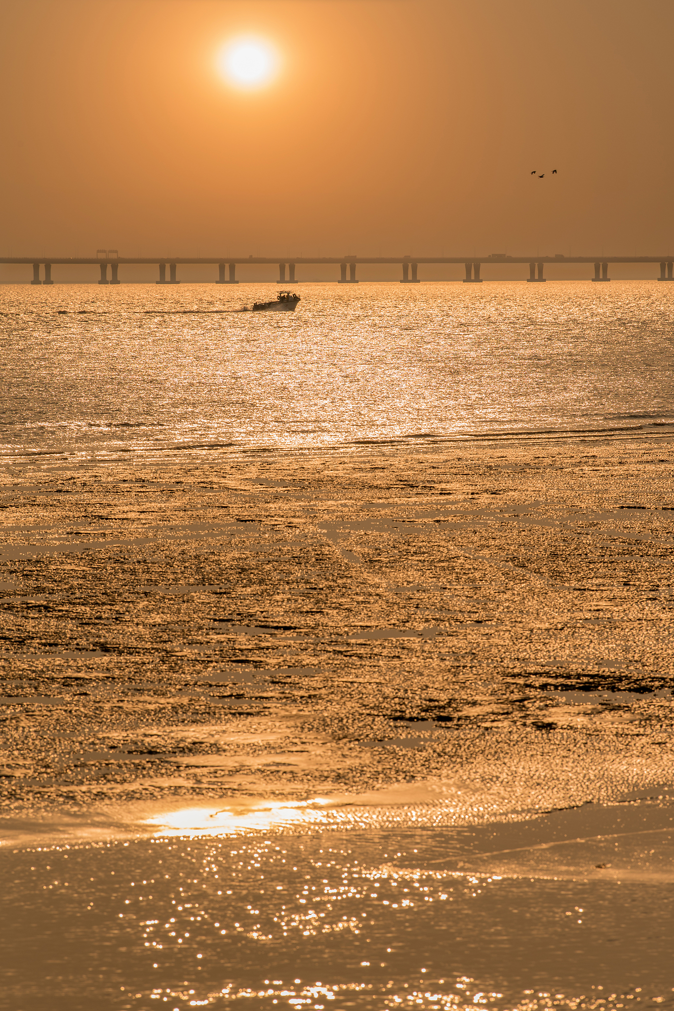 上海崇明岛旅游攻略介绍一下