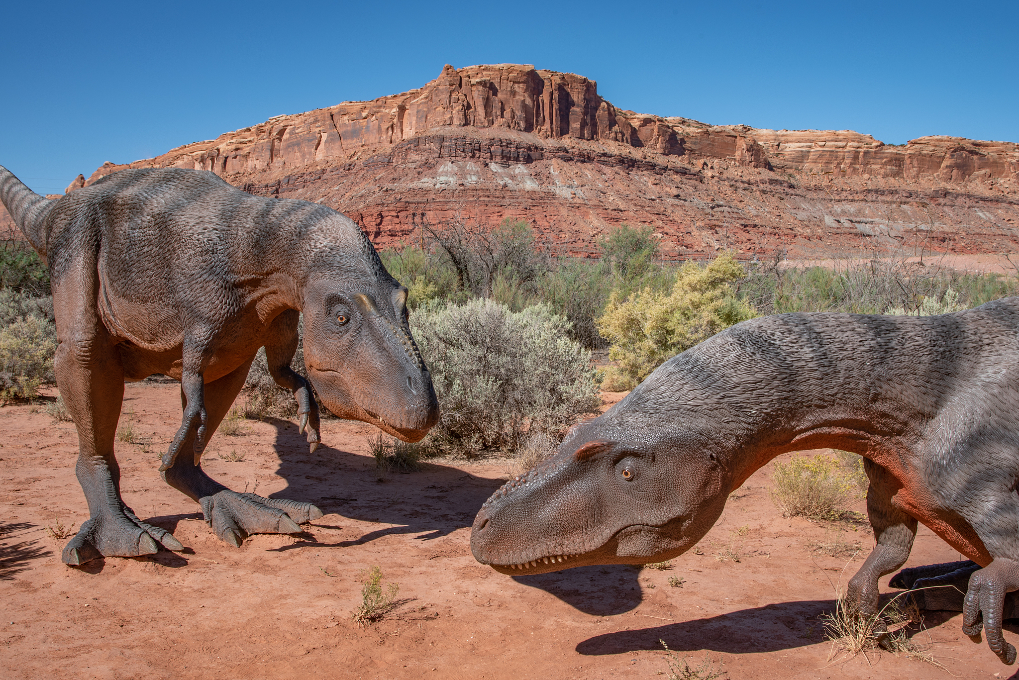 dinosaurs roaming the desert
