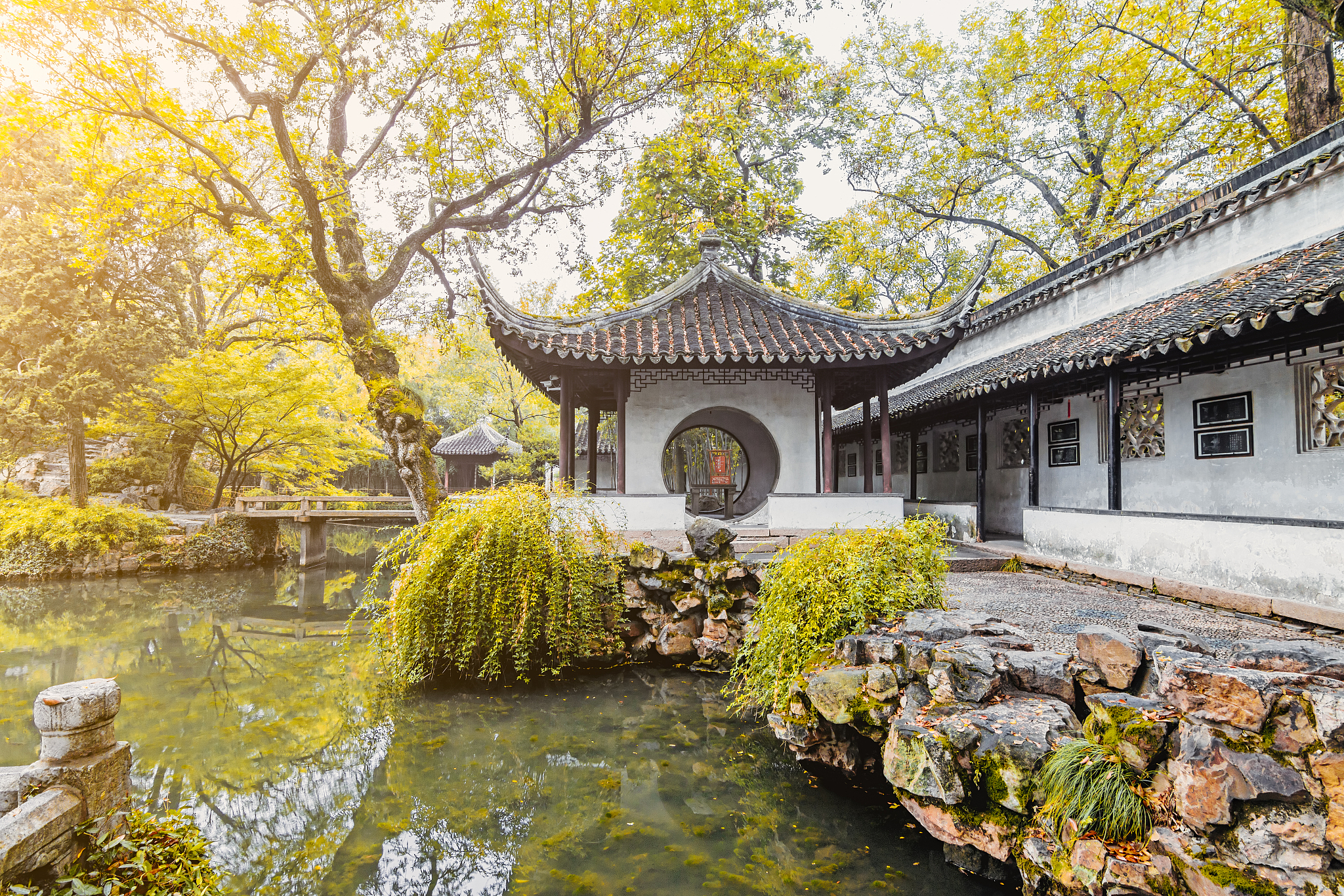 苏州初秋：云淡风轻，诗画江南等你来