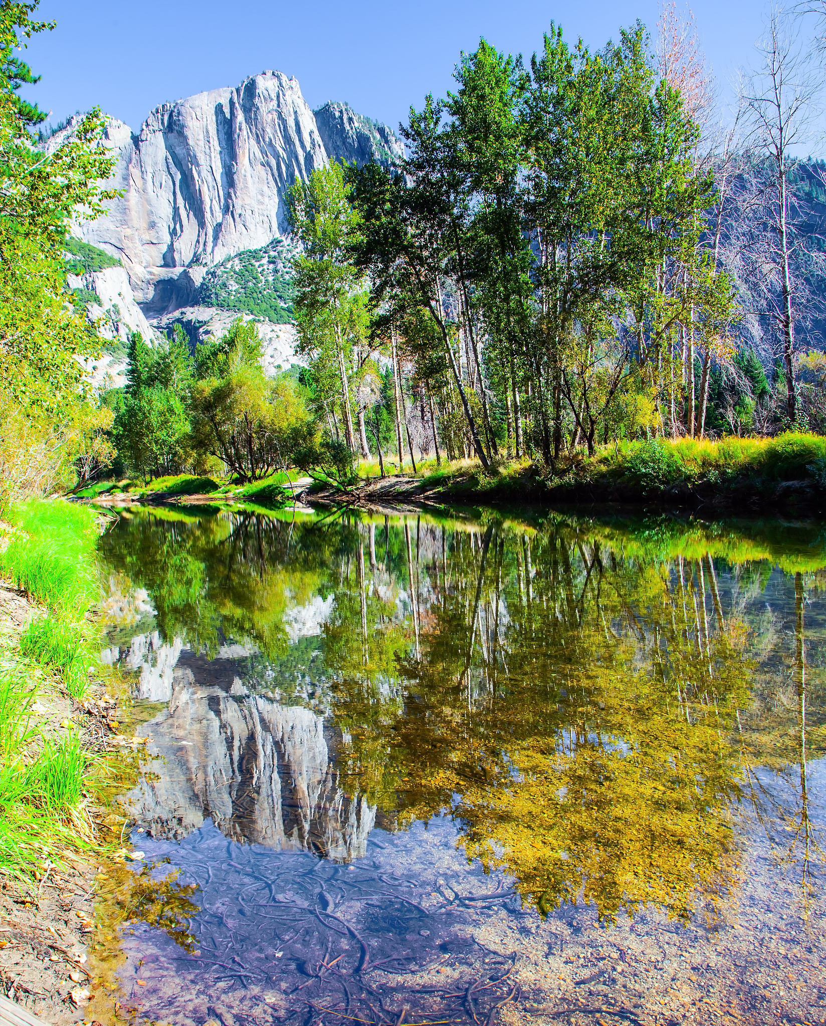 景物有哪些？300字详解什么是景物