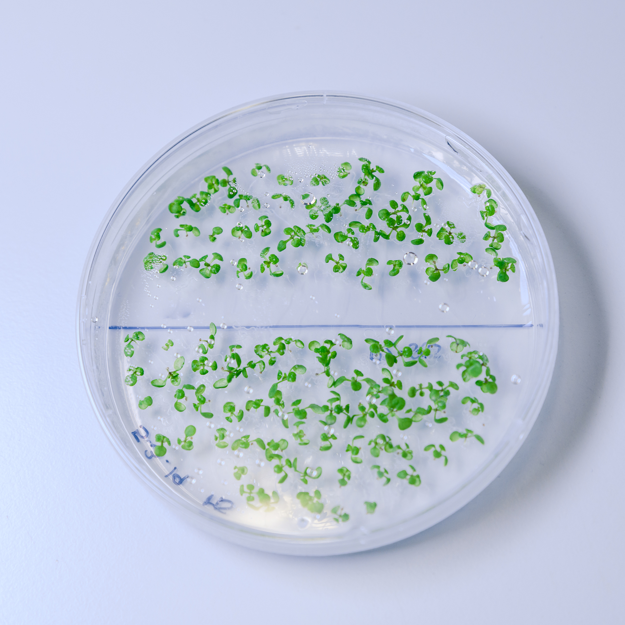 初中生物学科习题研制理论与实践研究