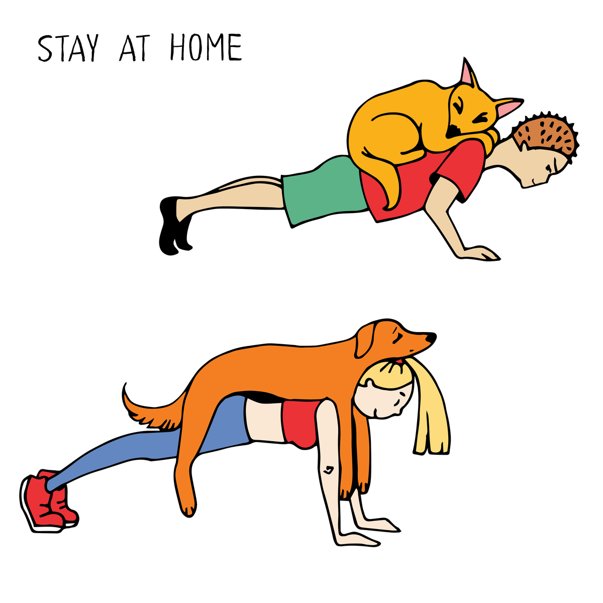 核心局部稳定系统肌肉纤维类型