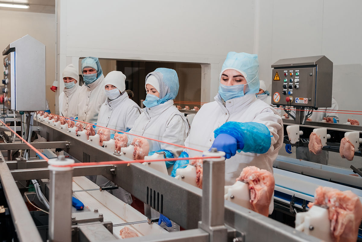吉林食品生物技术就业前景分析：机遇与挑战并存
