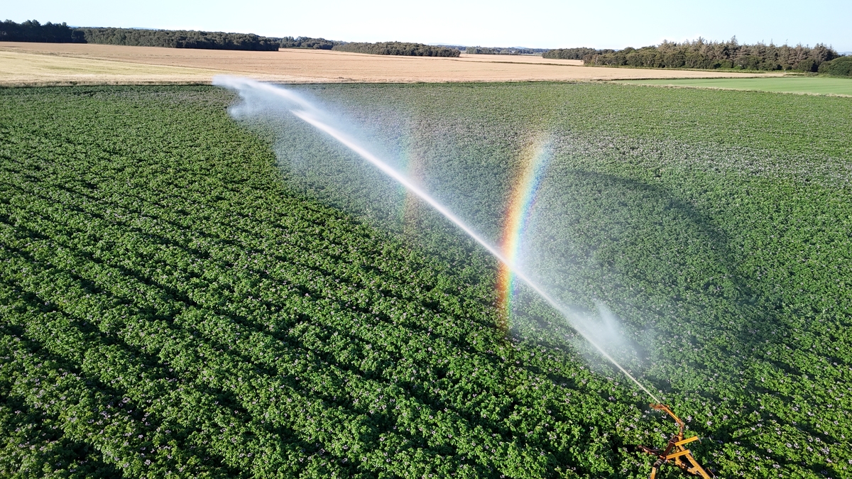 高分喷雾技术：高效、环保的喷雾解决方案