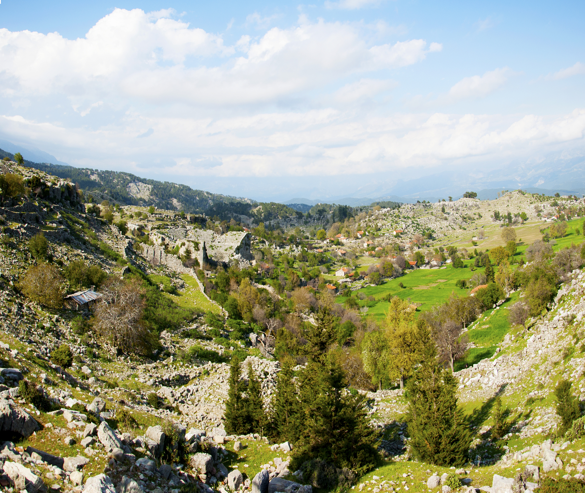 才不半古，功已倍之：年少有为的典范