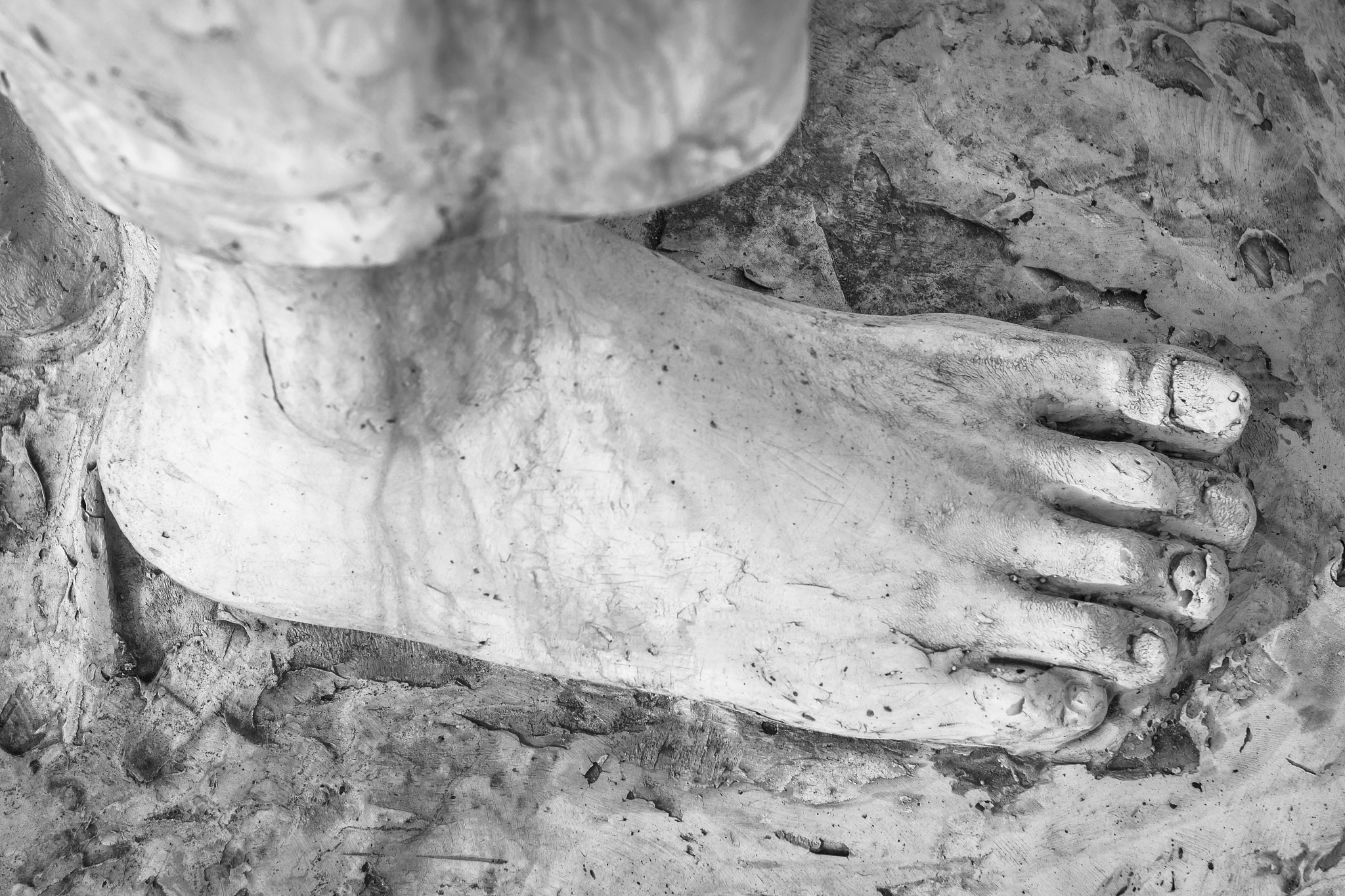 更喜八字进门来足是什么动物 用250字帮我描述