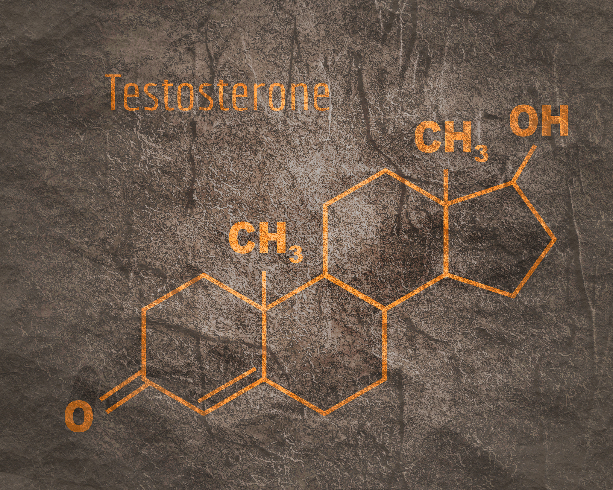 种子生理学研究方向：种子萌发机制解析与应用