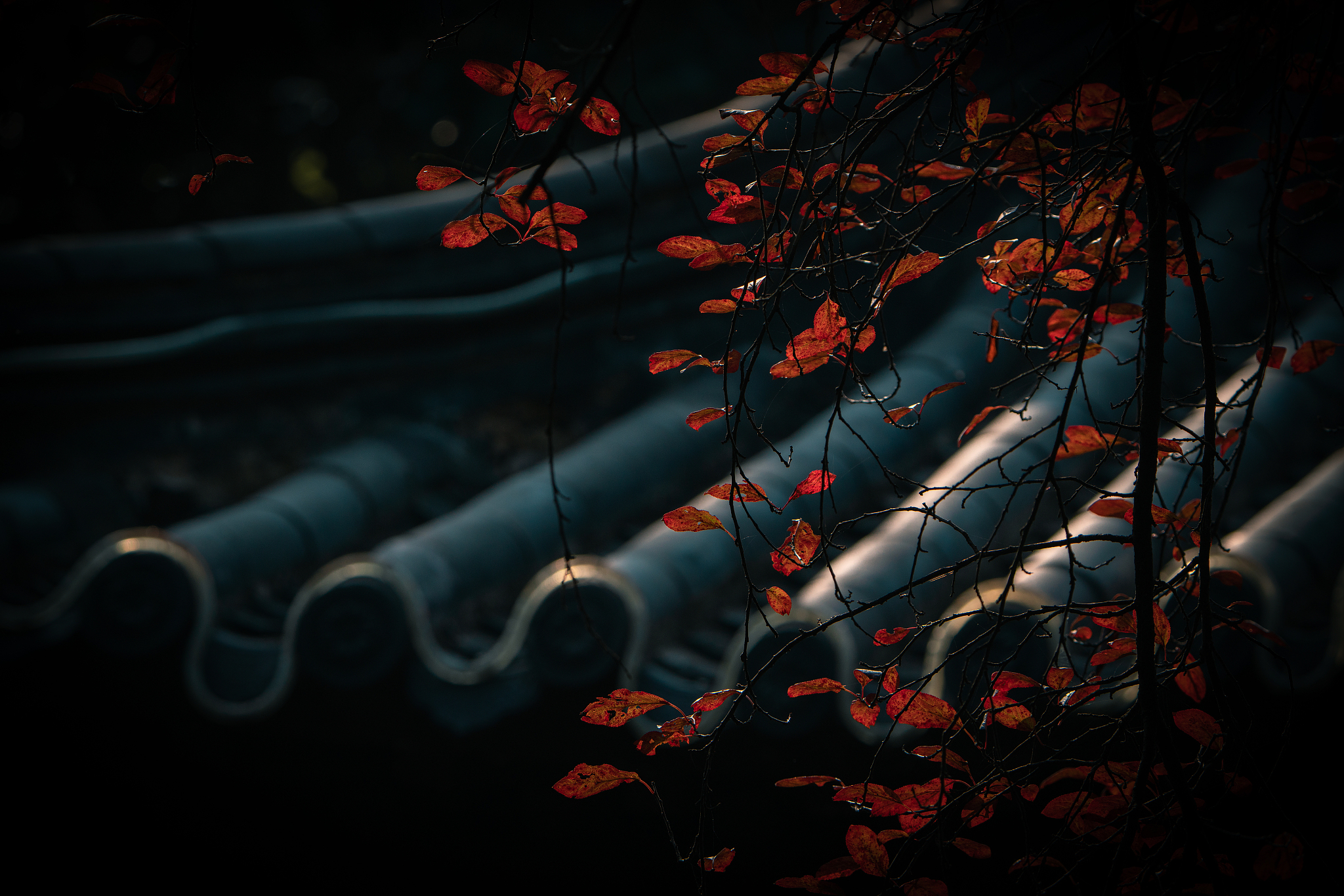 秋夜将晓篱门迎凉有感其一和其二