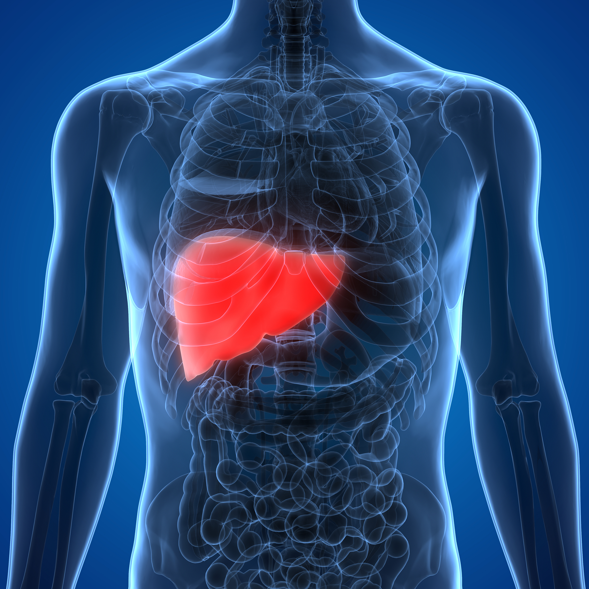 为什么肝和胆总是相提并论？