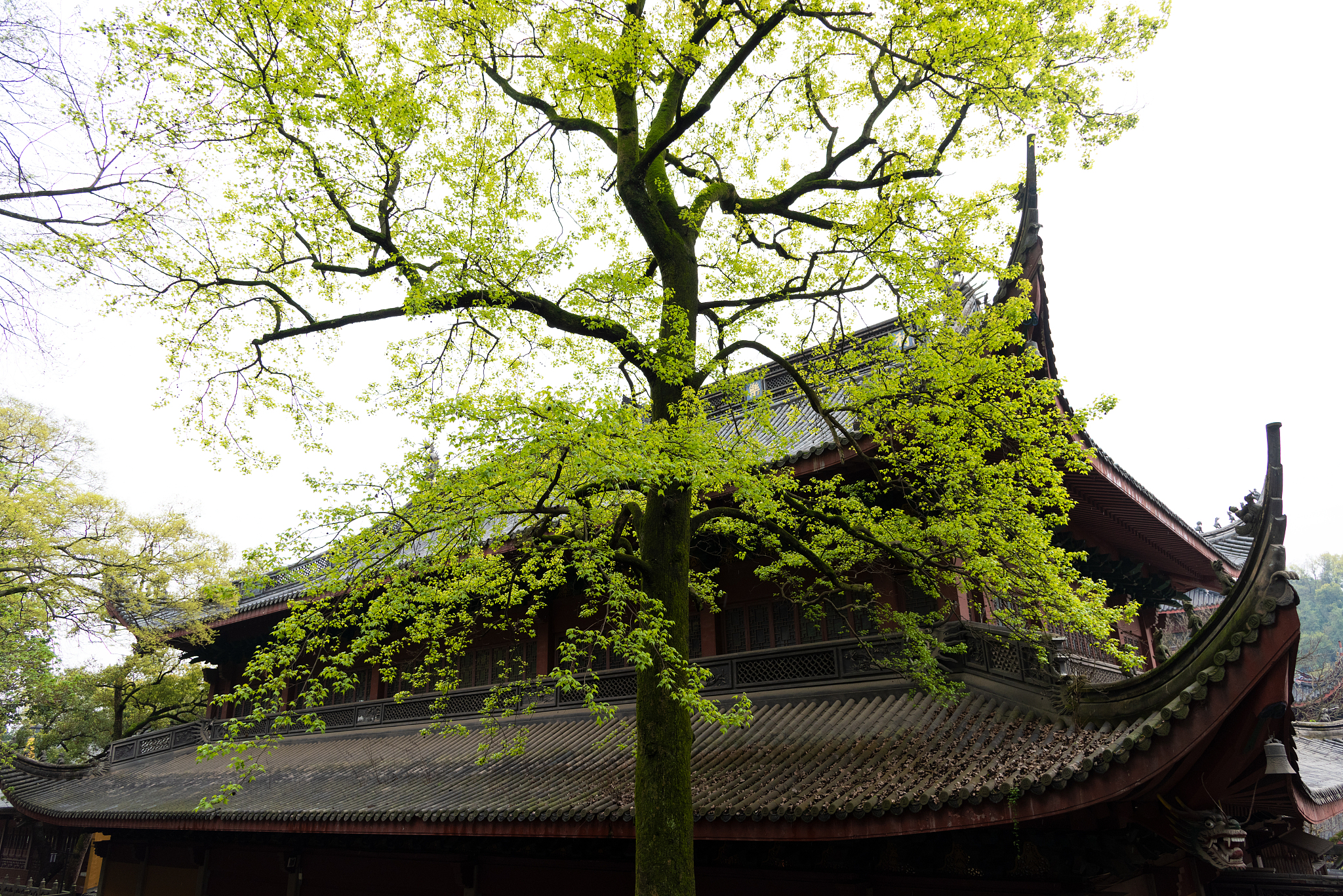 2020年重庆建工学院古建筑工程技术专业招生