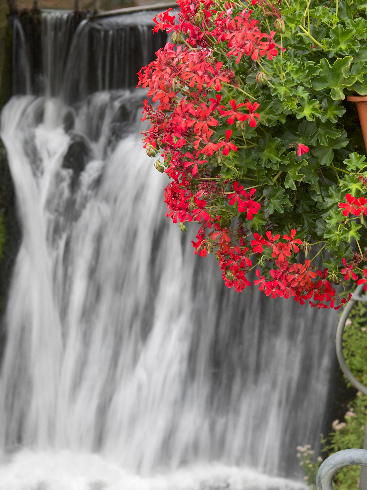 春日登山奇遇记：瀑布、鲜花与志同道合的伙伴们！