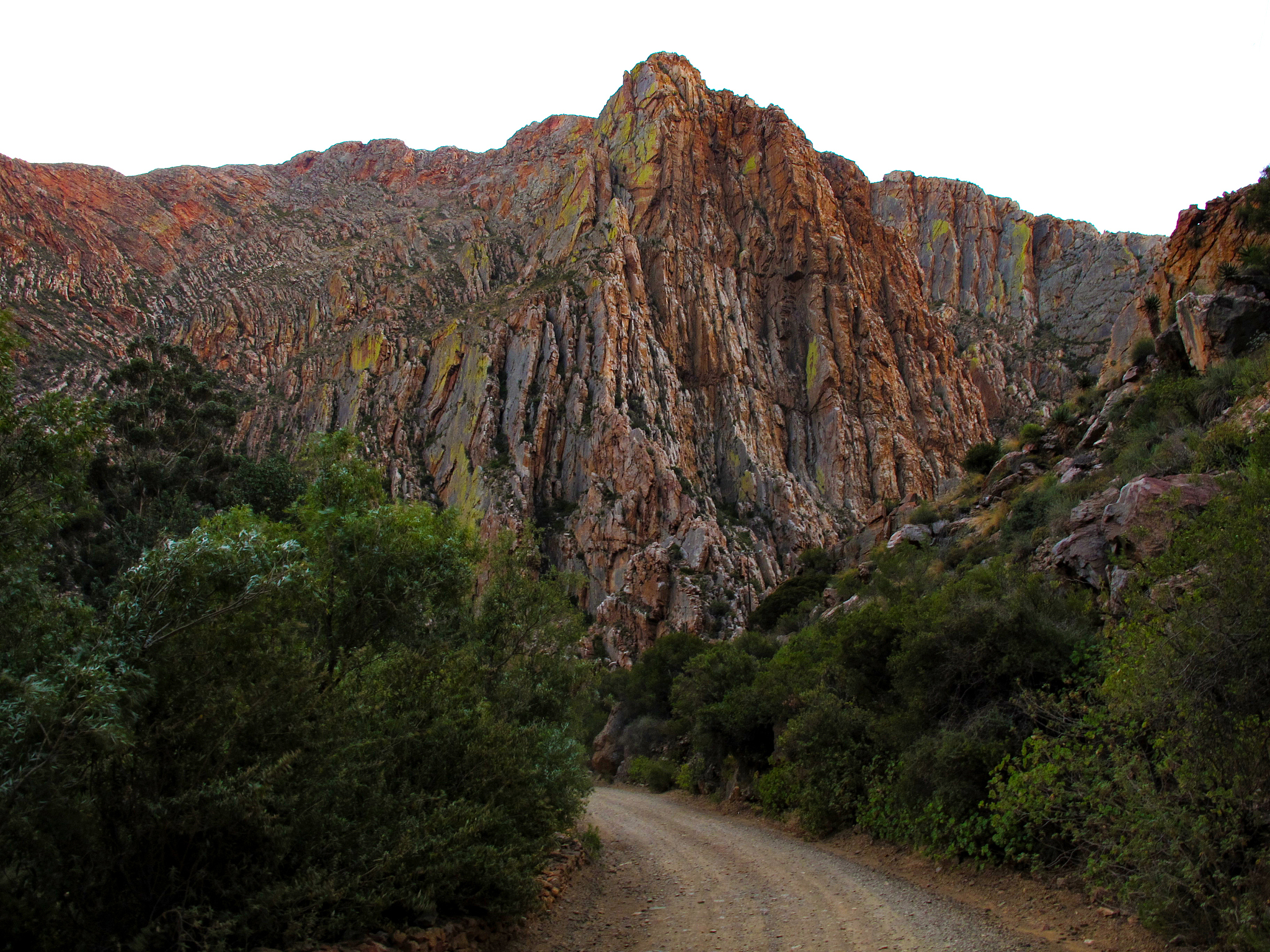 森林工程专业学什么？课程设置及就业方向解析