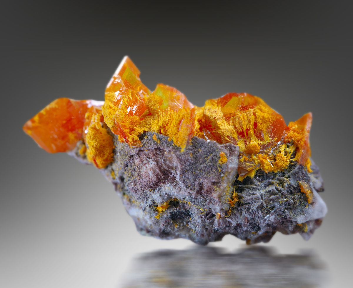 初三女生选专业指南：兴趣、优势与未来需求