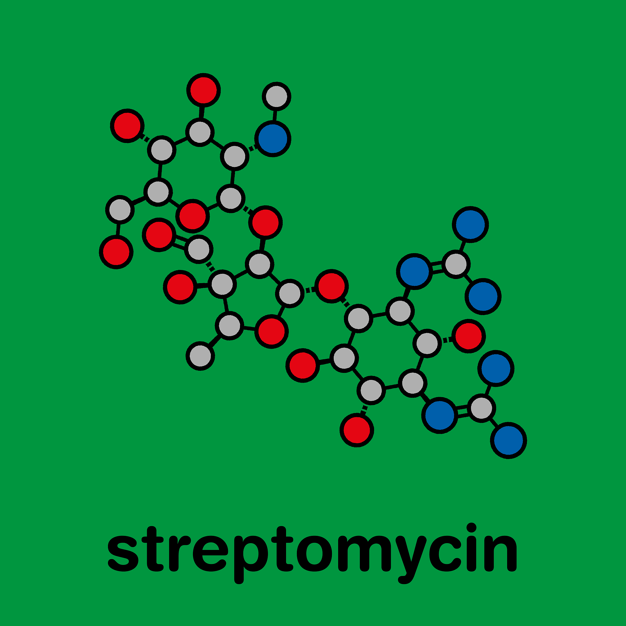 阿奇霉素作用机理