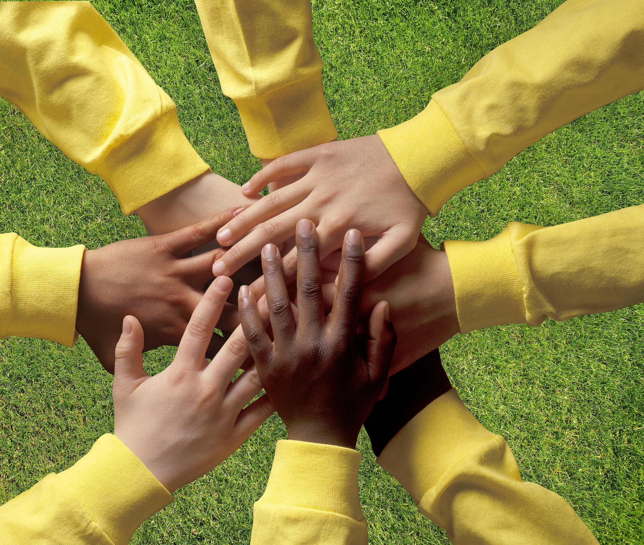 与……拥抱写一篇文章