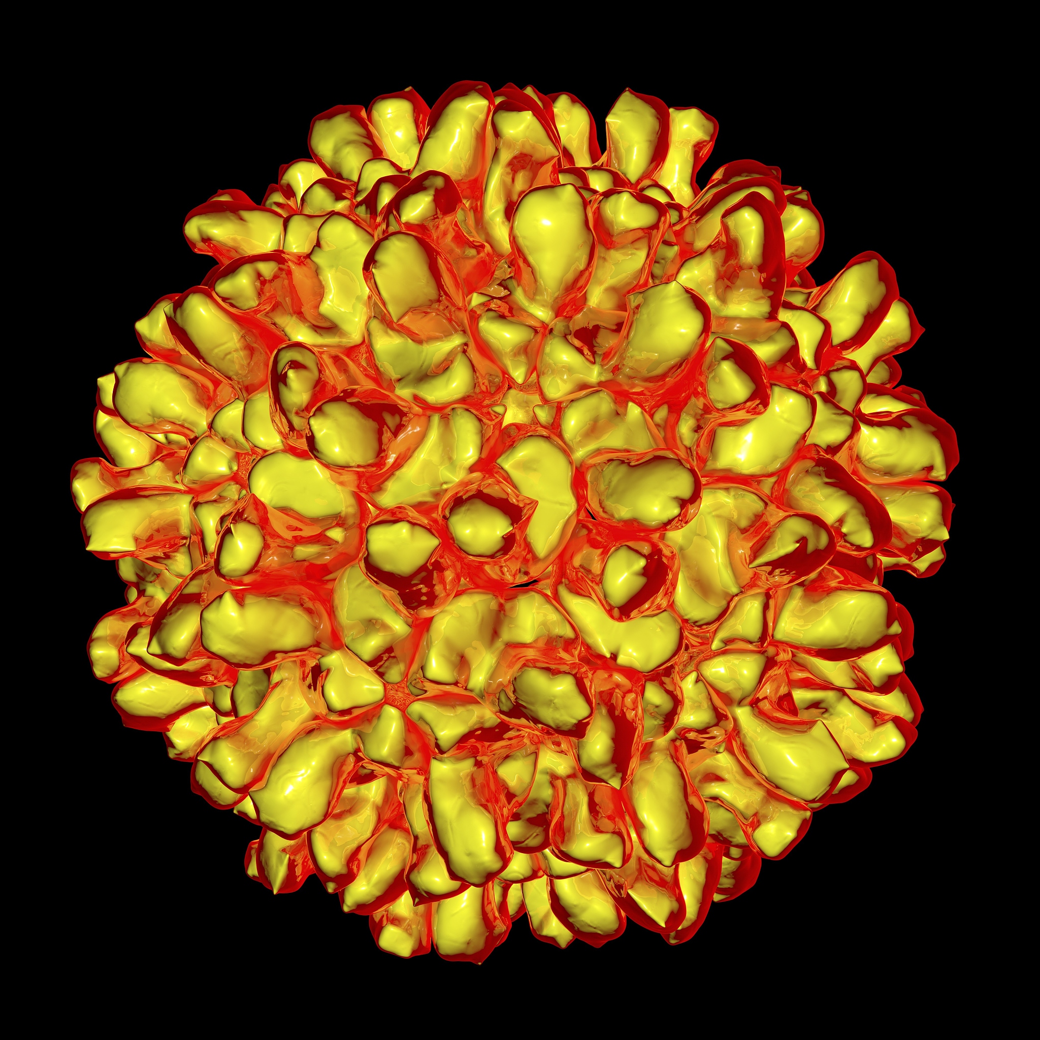忻州飞天艺术职业学校2023年招生电话 - 优质艺术教育，全面素质提升