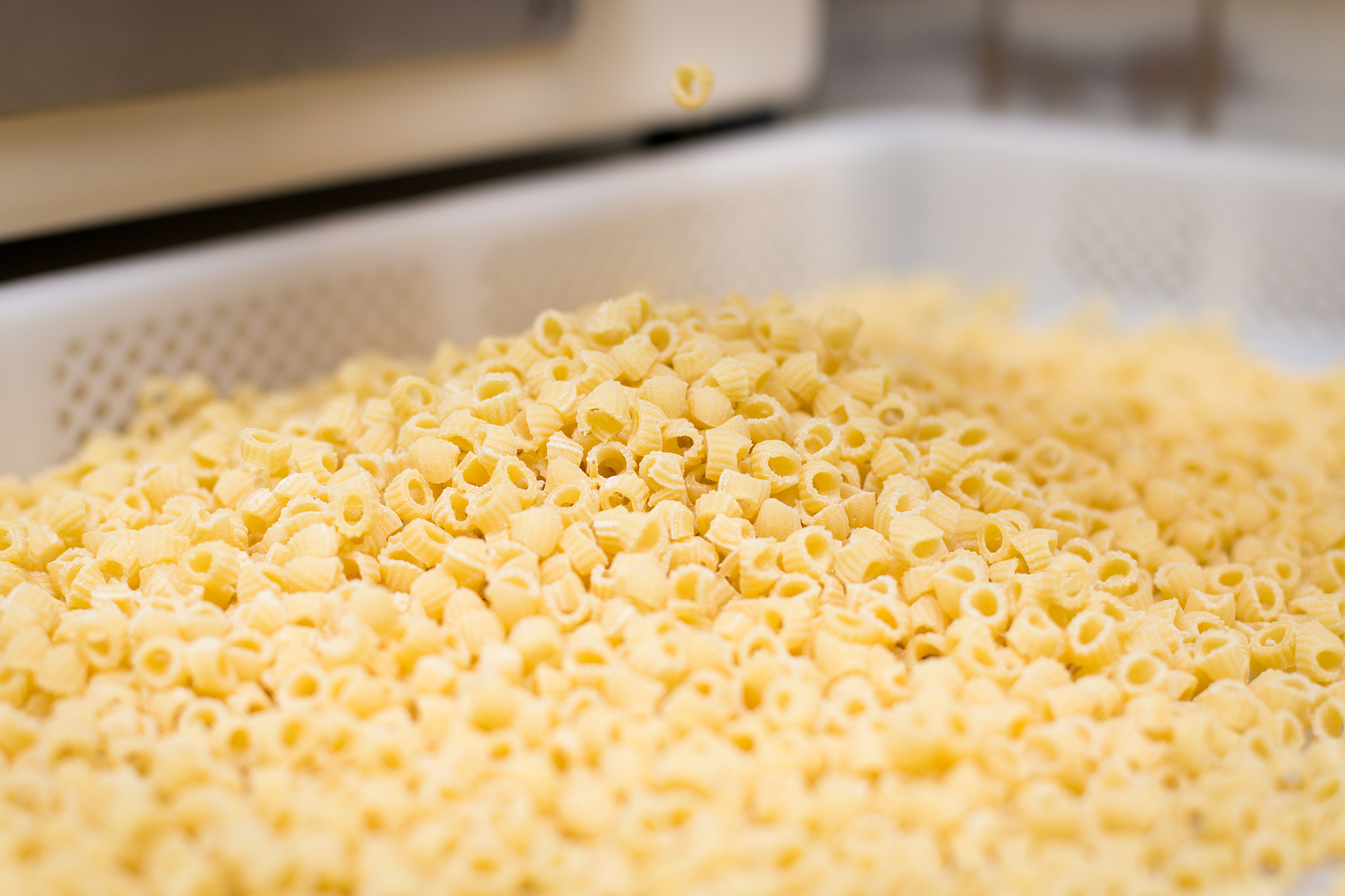 mini penne pasta being cut using a die cutter.