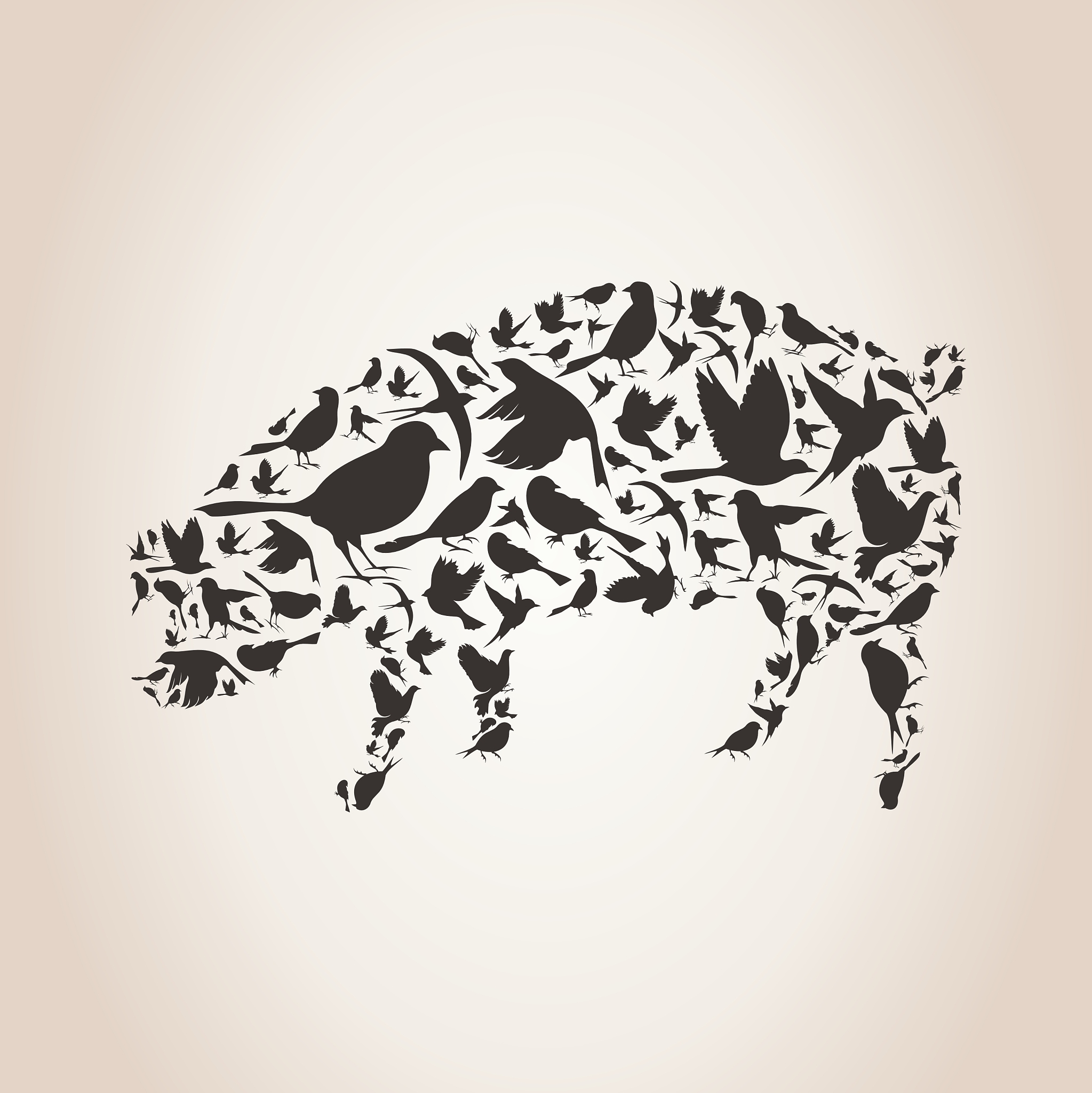 我女朋友太无聊了给她写一个笑话