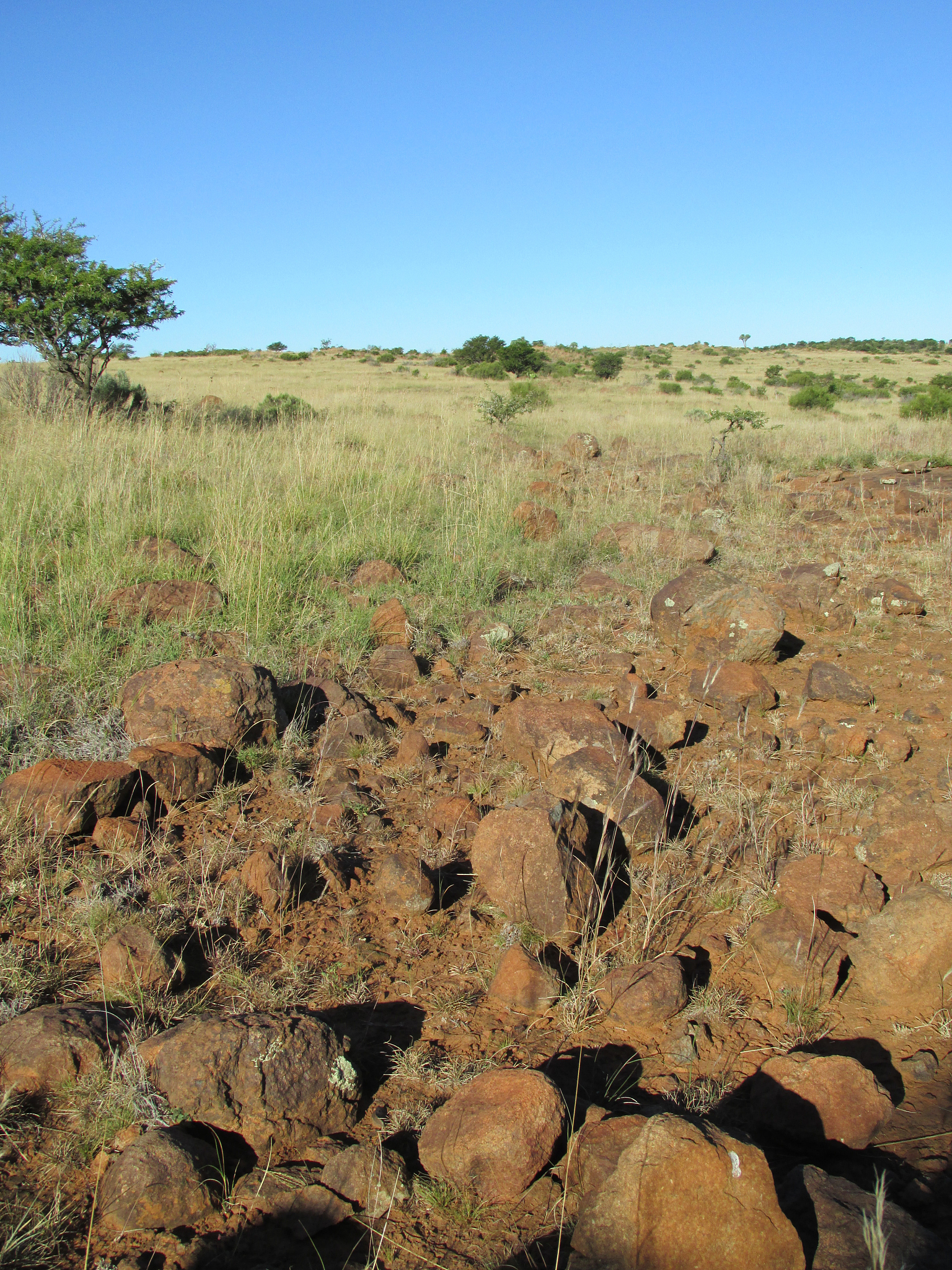 沙漠为什么缺水？地理环境和气候因素解析