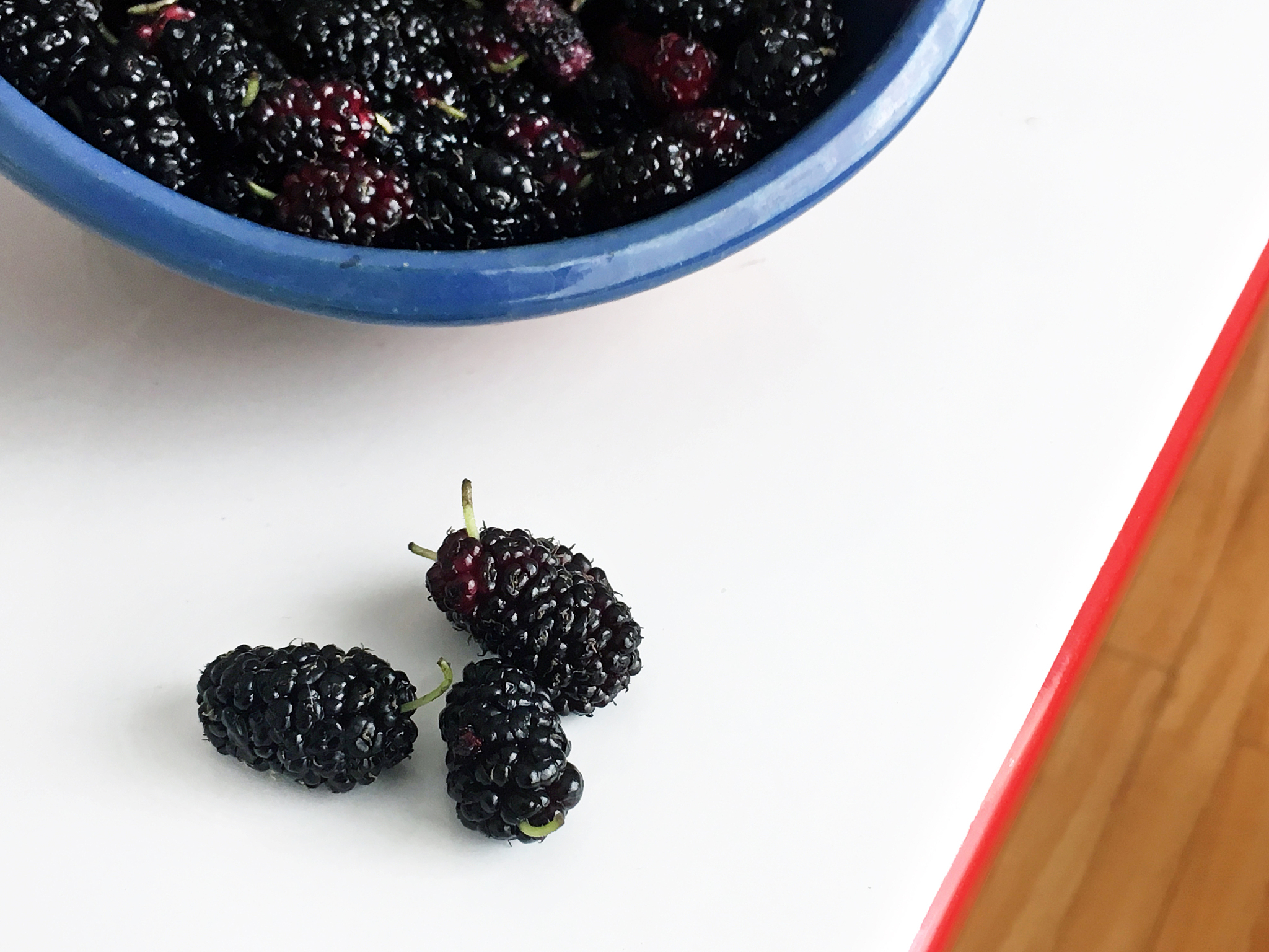 桑葚要用盐水泡多久，