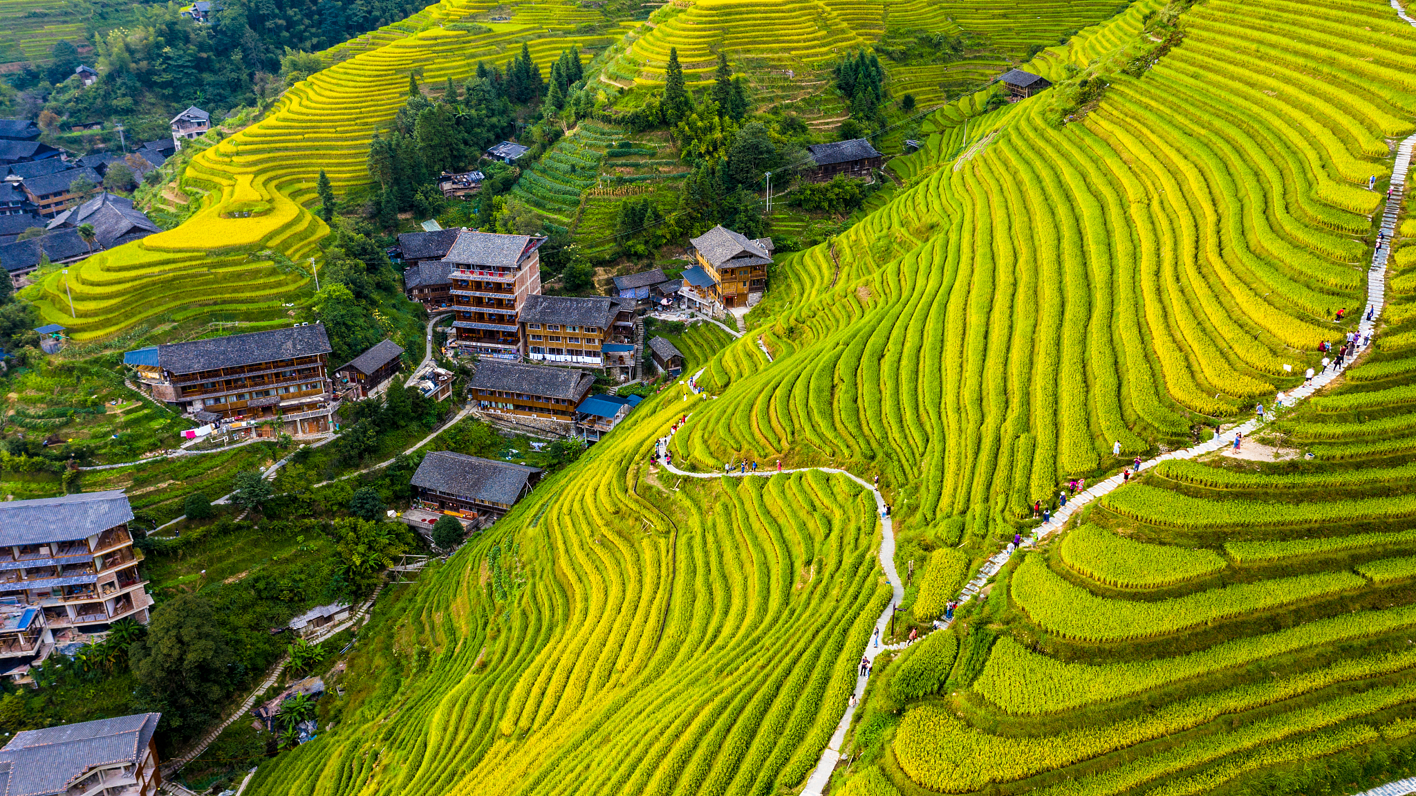 哈尼梯田：农耕文化与旅游融合的典范，有何独特优势？