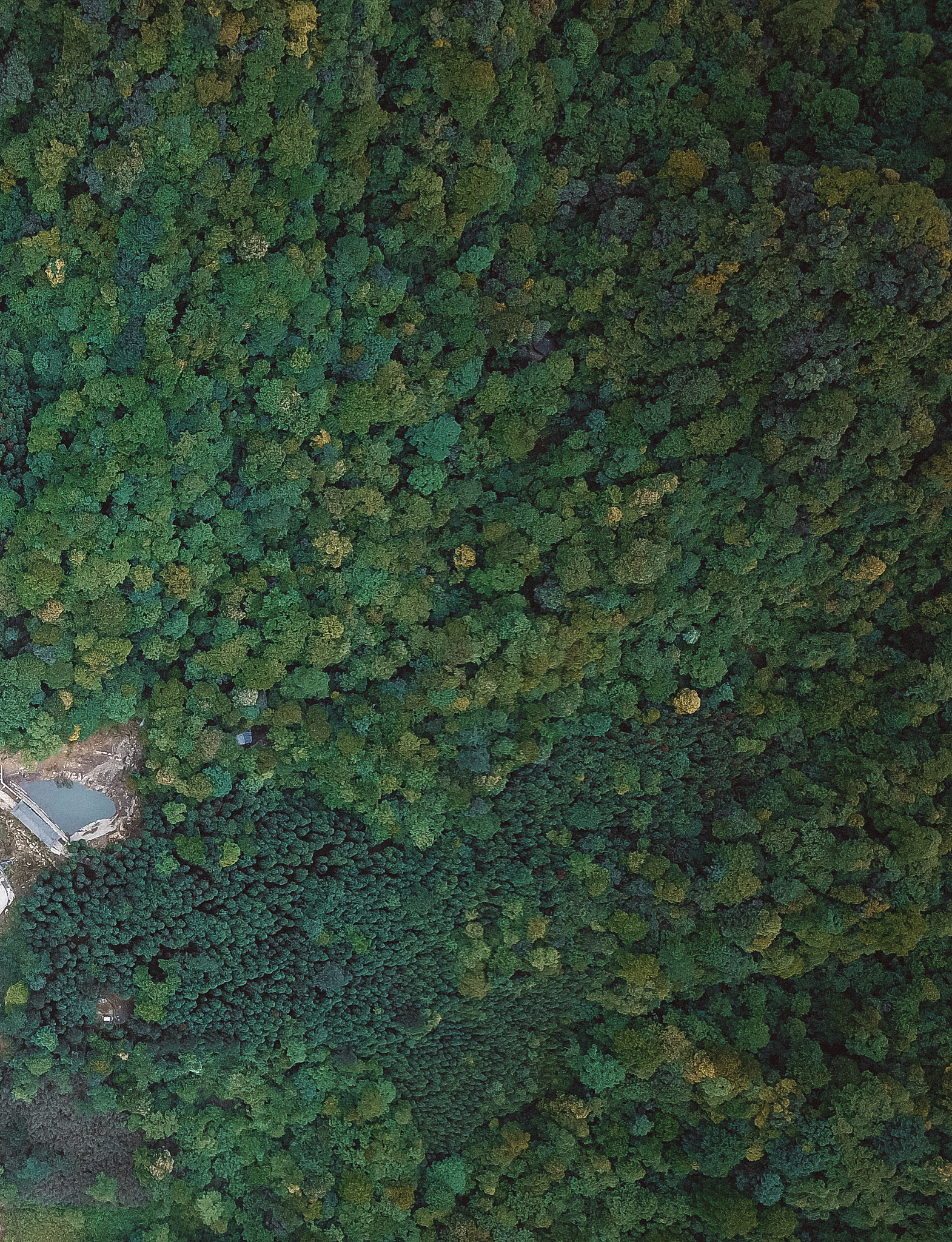 茂名户籍人员落户东莞政策解读 - 条件、材料、流程详解