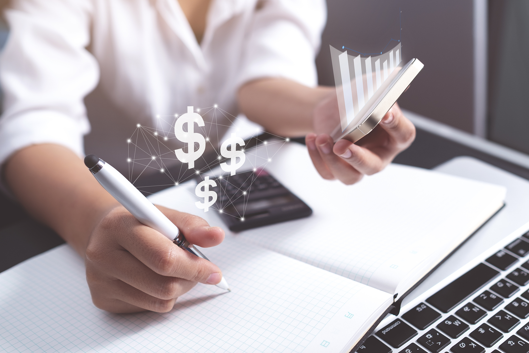 make money on internet. woman working on a laptop