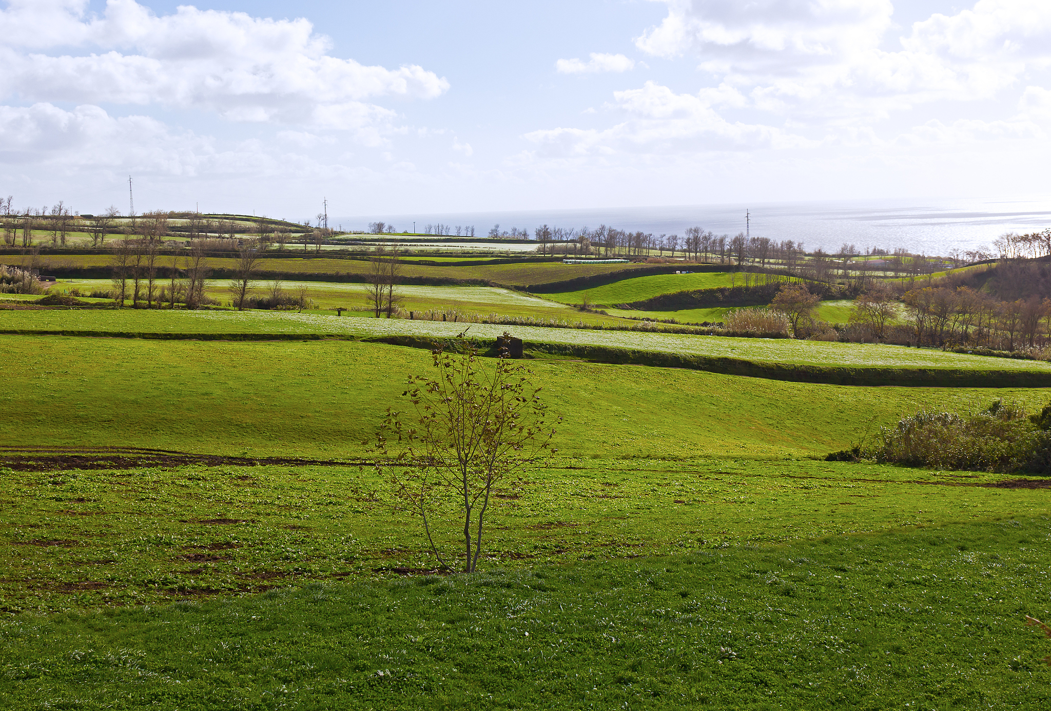 sao miguel island landscape in late autumn, azores, portugal.