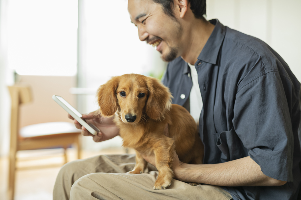 🐶养狗注意事项全解：新手必读指南，开启快乐养宠生活！🐾