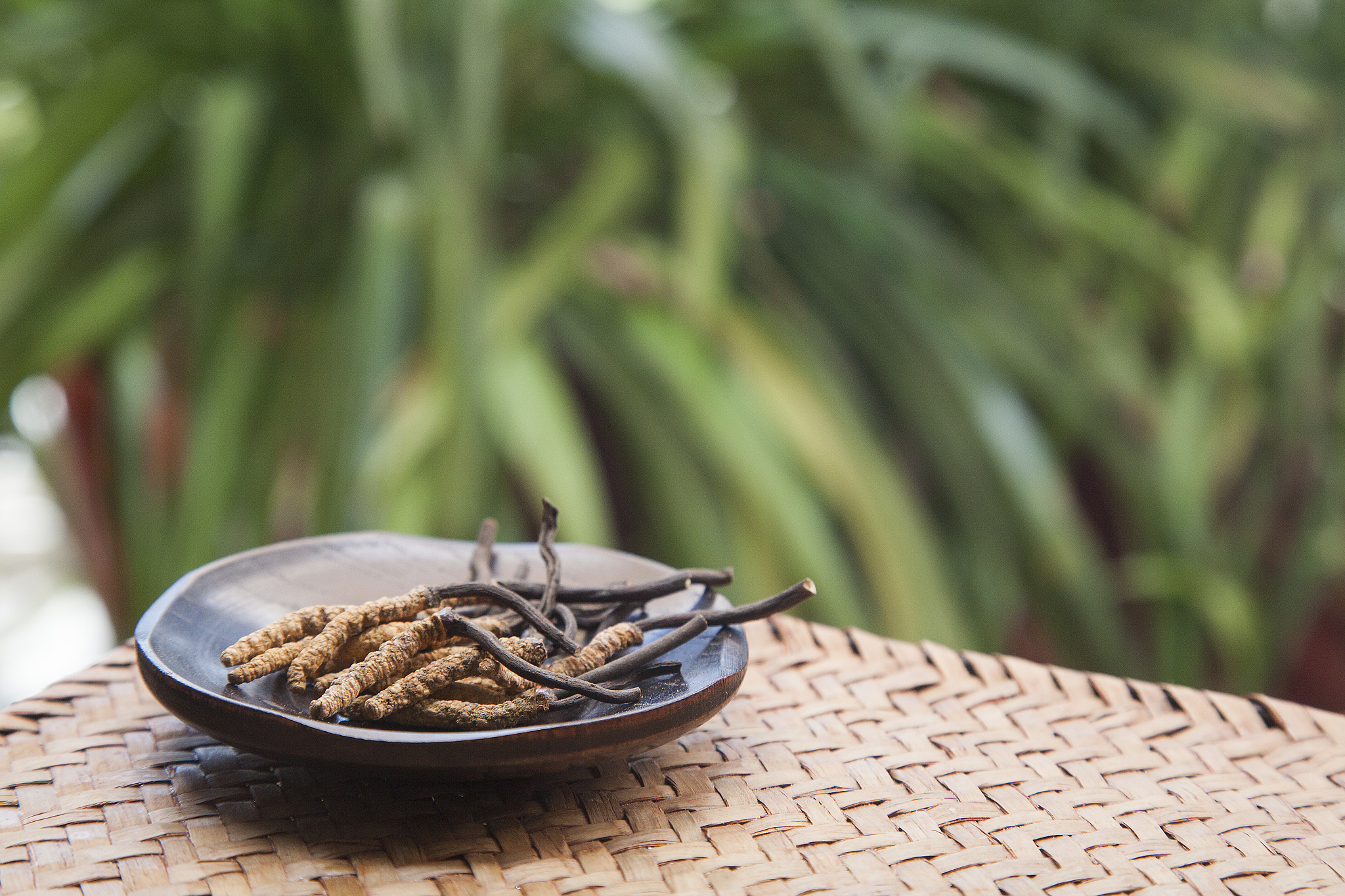 10个养生好名字，助你开启健康生活