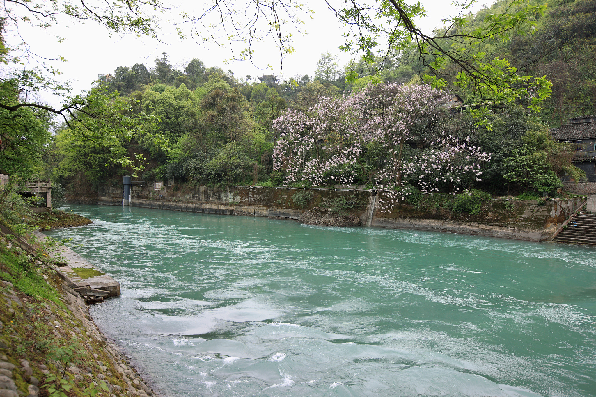 短文主要从哪两个方面写了鲤鱼溪的特点