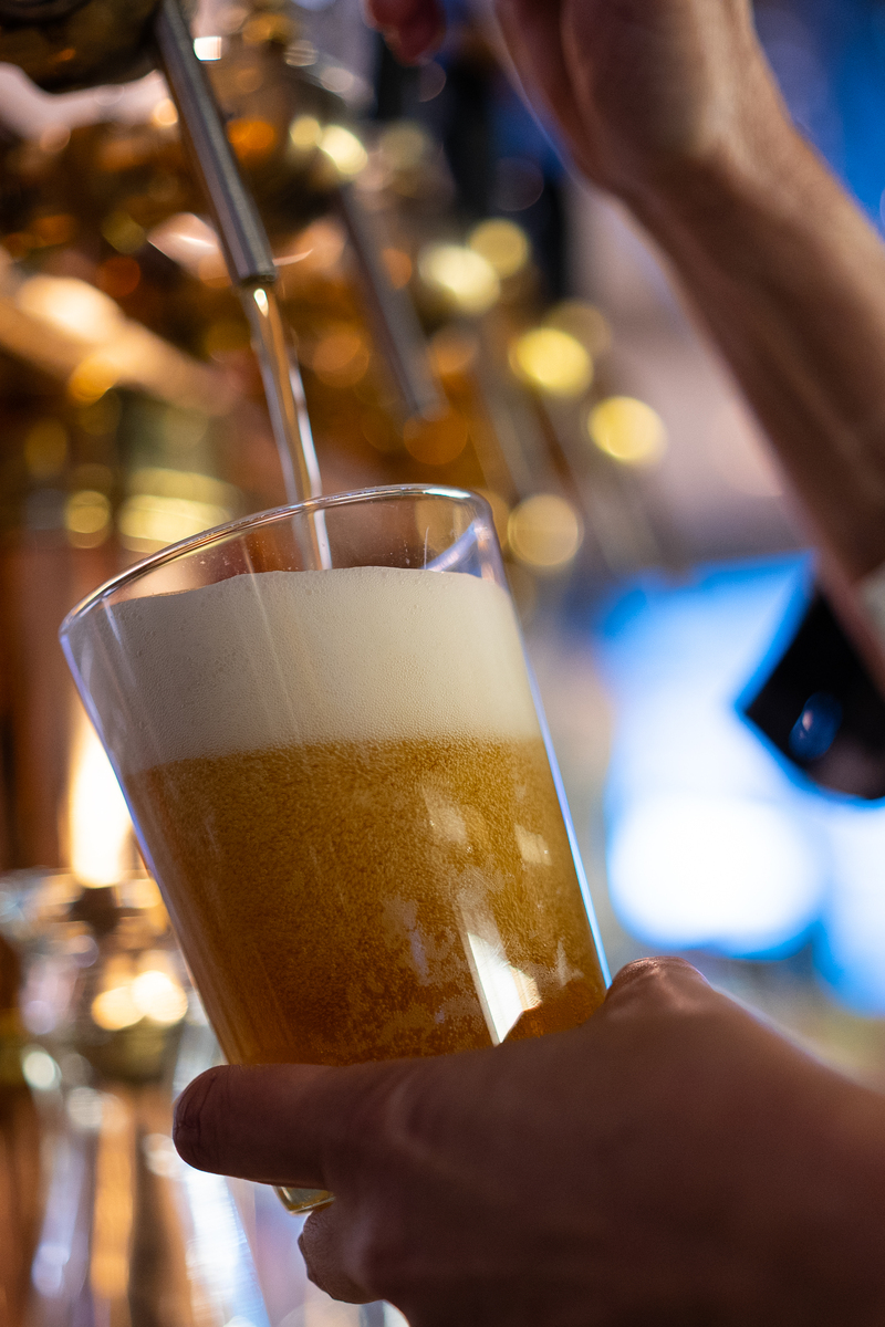 啤酒品鉴指南：专业评测与日常品尝的区别