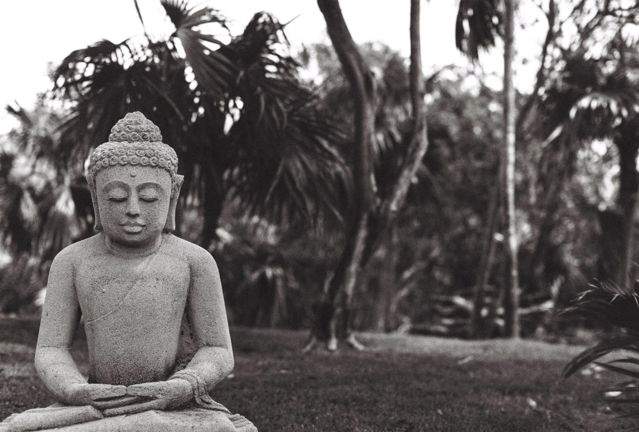 zen