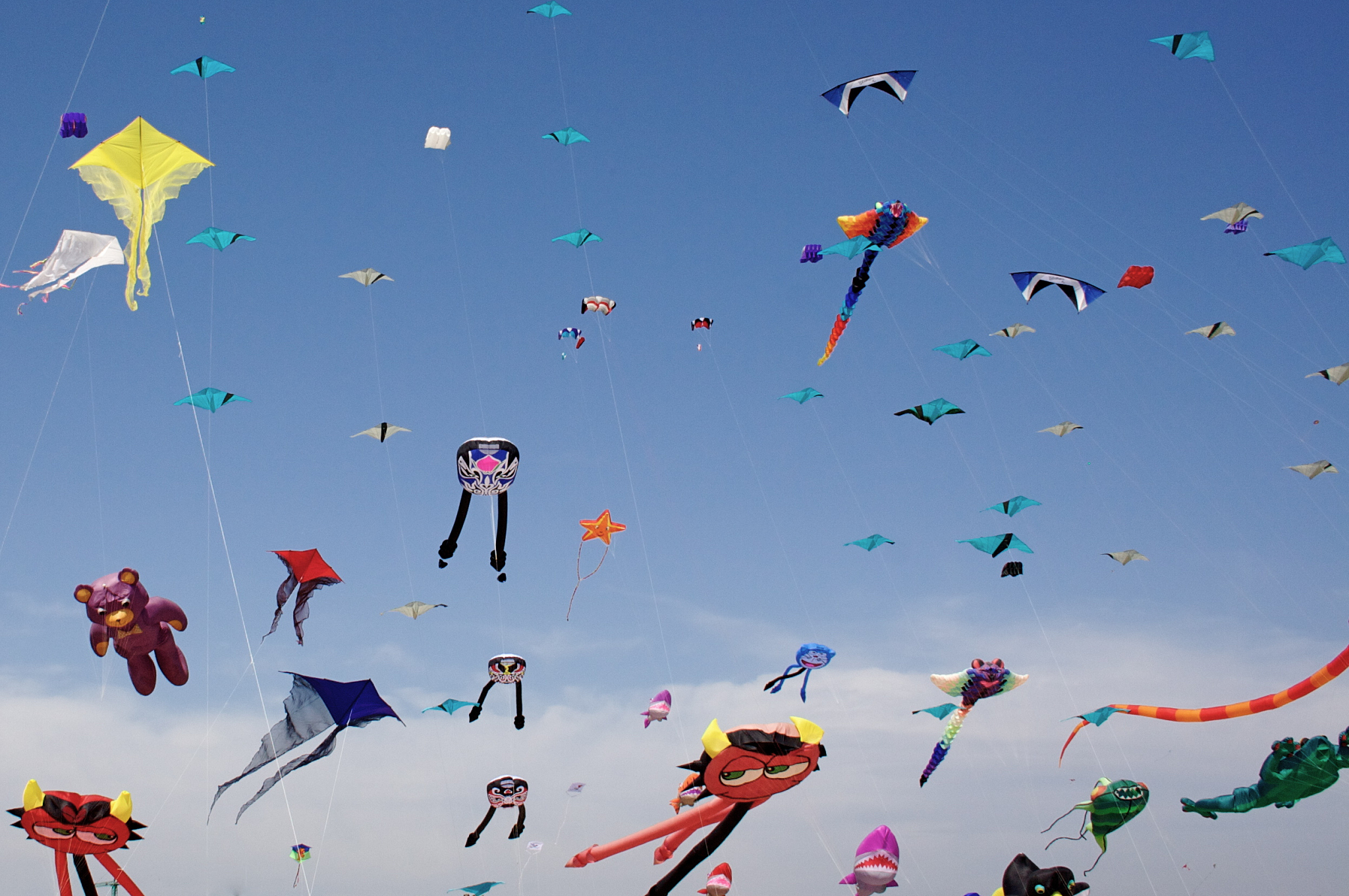 festival of kites