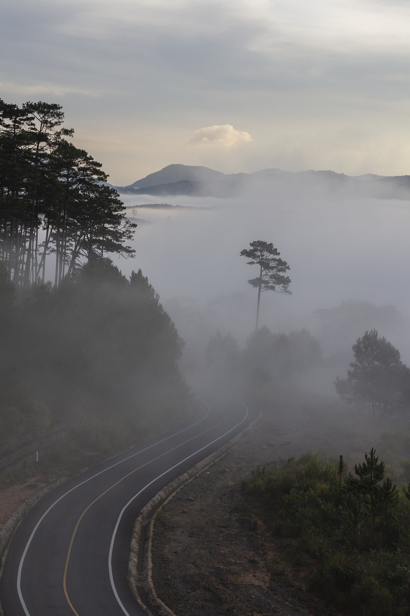 road on mountain pass in mist
