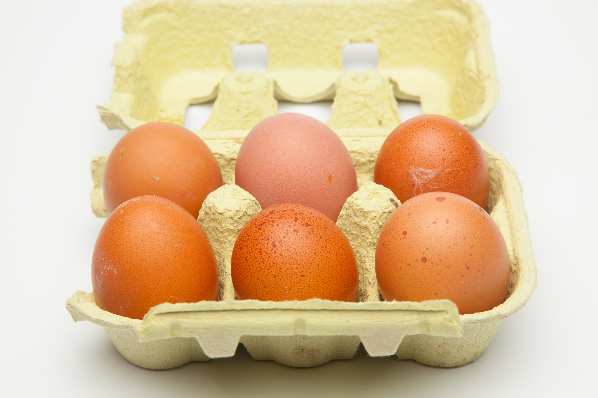 fresh chicken eggs