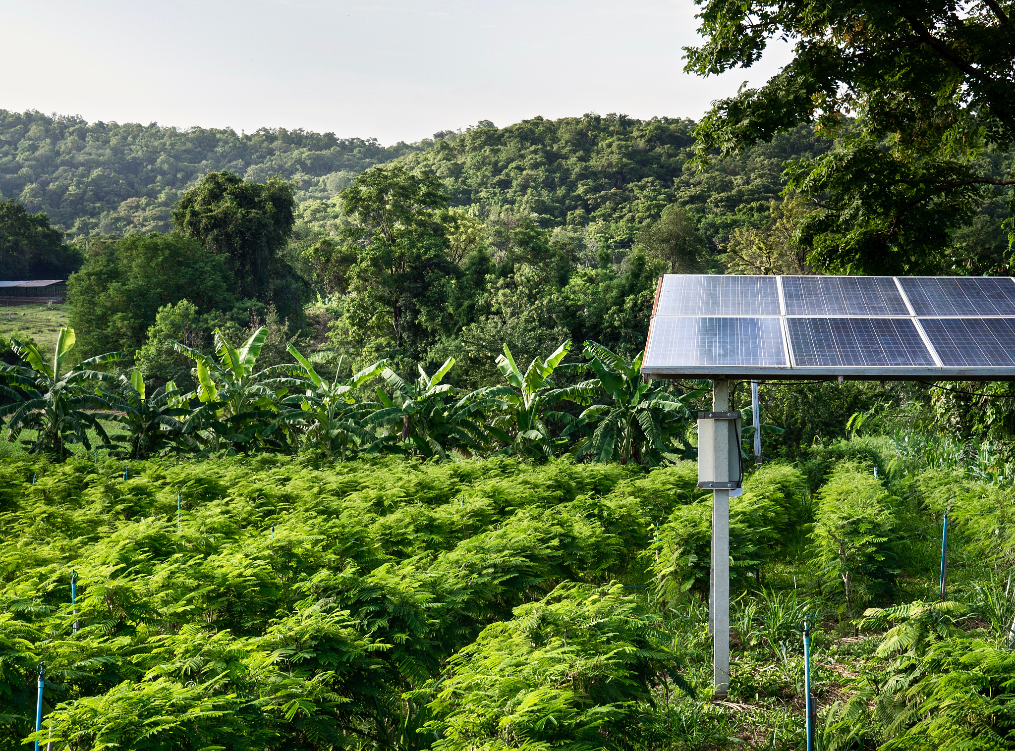 谈谈广西应如何站位、如何作为才能主动融入到中华民族伟大复兴的进程中。